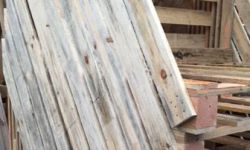palettes-bois-L.jpg