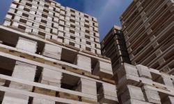 Palettes bois neuves