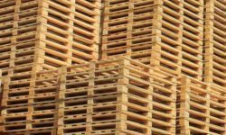 Palettes bois neuves