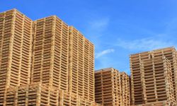 Palettes bois neuves