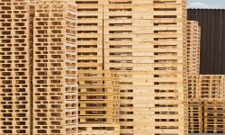 Palettes bois neuves